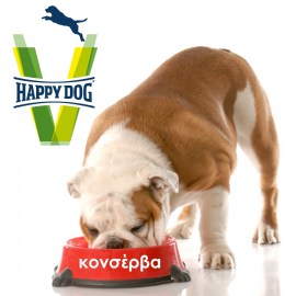 vet happy dog-wet